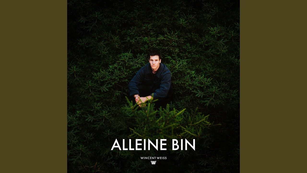 Alleine Bin