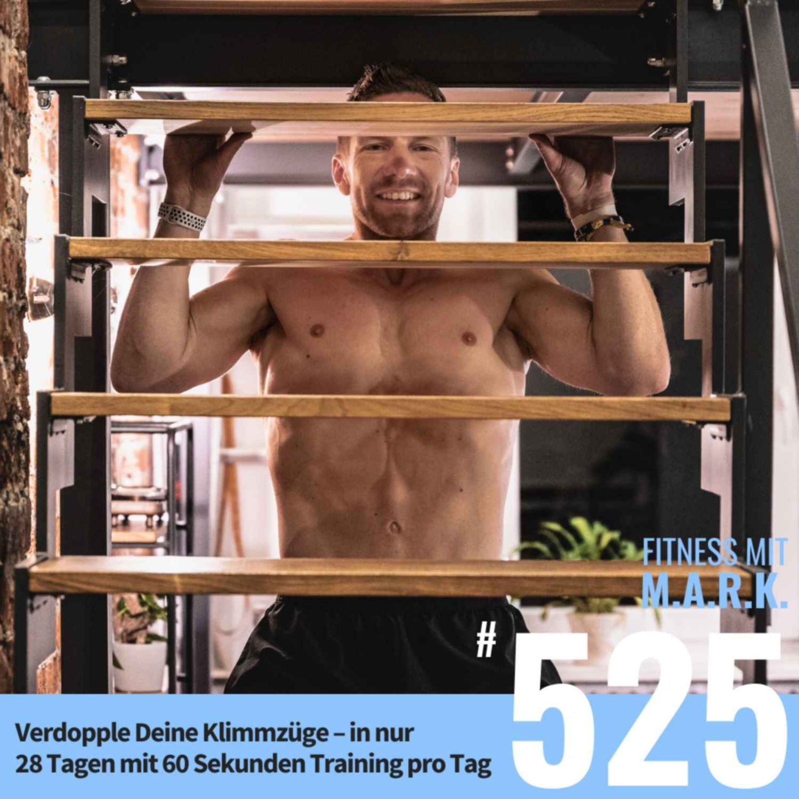 Verdopple Deine Klimmzüge – in nur 28 Tagen mit 60 Sekunden Training pro Tag (#525)